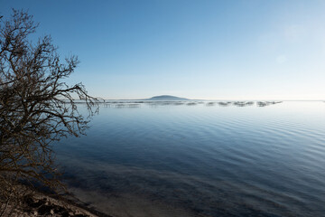 oyster and mussel farming 

