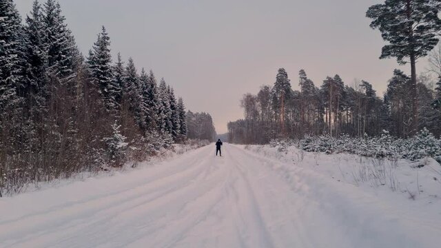Skier Skiing Cross Country, 60 fps footage, a man does cross country skiing along snowy track among bare trees by evergreen forest