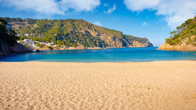 View of the beach of Cala Aiguablava practically deserted where the forest surrounds it reaches the sea. Begur, Costa Brava, Catalonia, Spain