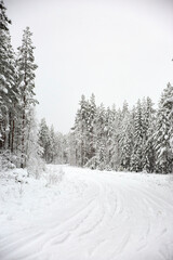 Snowy winter wonderland forest road in Sweden
