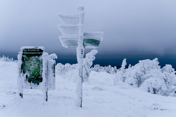 Winter im Harz auf dem Brocken, schneebedeckte Tannen im winter wonderland. 