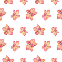 Seamless watercolor background pattern with pink orchid flowers. Phalaenopsis illustration. Floral background for fabrics, paper, wallpaper, cards, packaging, valentine's day, mother's day, wedding.
