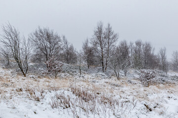 Snow covers the landscape