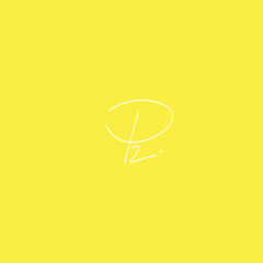 Obraz premium PZ Initial Isolated Logo for Identity