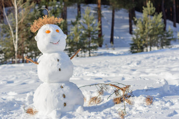 snowman in the park