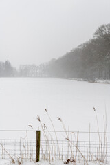 Fence and meadow in winter landscape