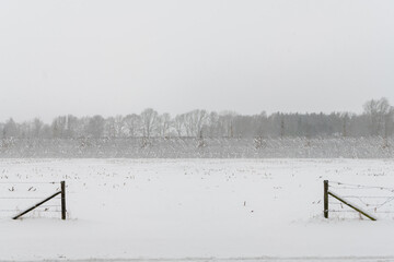 Natural Noise barrier in winter landscape