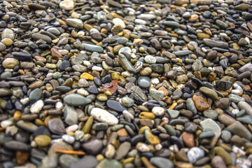 close up of a pebble