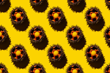 Fresh opened Sea Urchin with quail egg and soy sauce on yellow background Seamless pattern