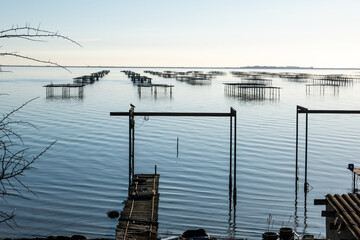 nature reserve - Etang de Thau