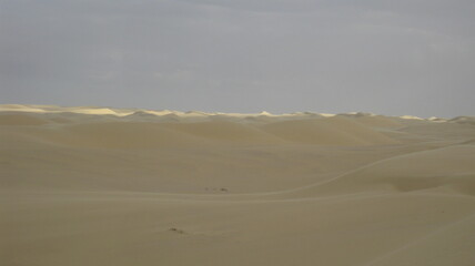 Vue sur le désert avec ciel nuageux