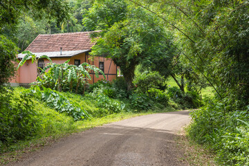 Small house in enxaimel style, dirty road with flowers and plants around