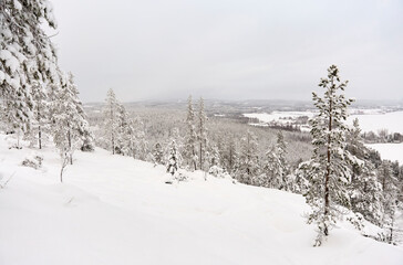 Winter wonderland landscape