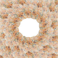 Watercolor frame sea shells on white background, Watercolor frame,  sea shells , white background watercolor wreath shells, clipart sea life