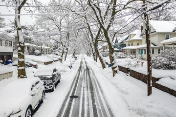 Snow Covered Suburban Street with Snow Covered Vehicles