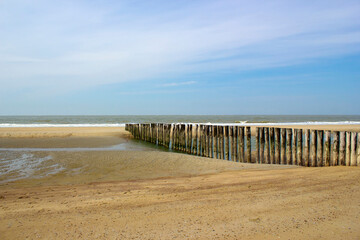 Fototapeta na wymiar Wave breaker made of wooden stakes on the beach, Renesse, Netherlands