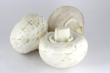 three champignons on a white background