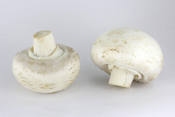 two champignons on a white background