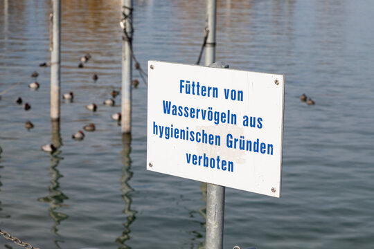 prohibition sign feeding forbidden, german text translation: feeding of waterfowl forbidden for hygienic reasons, swimming birds seen in the background