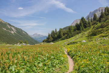 Fototapeta premium Lechweg in Österreich