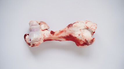 Large raw bone of big animal cow or pig on white background, top view, copy space. Bone for cooking broth. Food for dogs. Copy space.