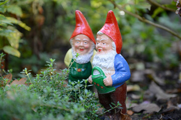 Gartenzwerge