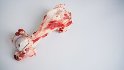 Large raw bone of big animal cow or pig on white background, top view, copy space. Bone for cooking broth. Food for dogs. Copy space.