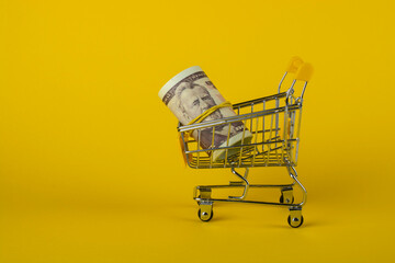 Creative composition. Us dollars in a shopping cart. Business concept.
