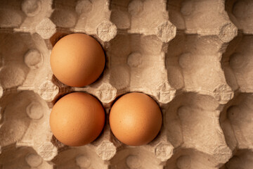 Three brown egg on eggs craft holder. Top view.