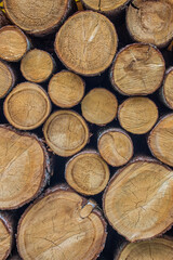 Holzstämme gestapelt