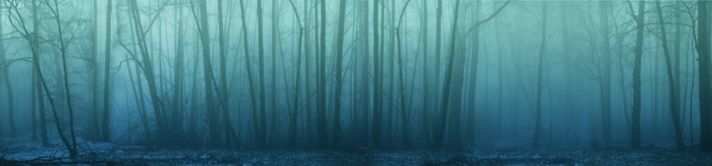 panorama of forest fog in the winter forest, mysterious mystical landscape of greenish color