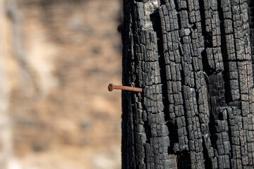 Burned wood texture close up and rusty nail.