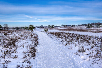 The Lueneburg Heath Nature Park in winter (German: Naturpark Lüneburger Heide) in Lower Saxony,...