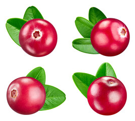 Cranberry collection. Cranberry with clipping path isolated on a white background. Fresh organic vegetable. Full depth of field