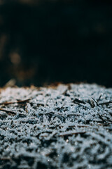 close up of a tire