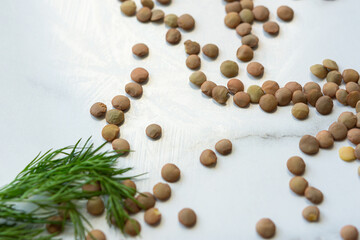 Scattered brown lentils and dill on the table. Ingredients for lentil soup top view. Natural sunlight. Useful body care products. Vegetarian diet soup. Flat layout, copy space