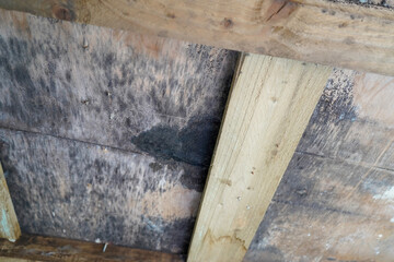 Rotten wood roof paneling covered in black mold