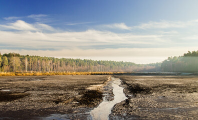 stream in the dried lake  with the forest in the background