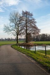 Trees along Slatsdijk (Swamp Dike) in Loenen (The Netherlands)