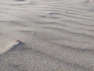 Fondos de arena de playa