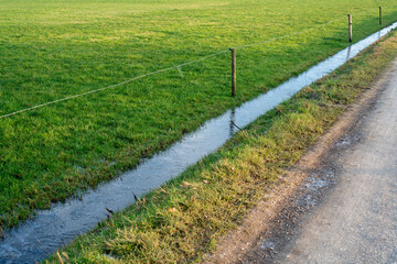 Ditch filled with water in Loenen, a former swamp at the edge of the Veluwe in The Netherlands.