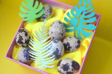 Easter gift box with leaves and quail eggs. Close-up photo on yellow background. Easter.