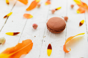 Brown macarons on white background with plant leaves and flowers