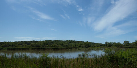 Fototapeta premium Wetland landscape. Panorama view of the tropical green forest, lake and reeds under a blue sky.