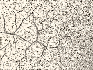 Stipple Technique Cracks in Dry Soil
