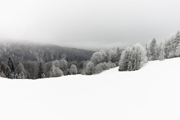 Zimowy krajobraz leśny w górach