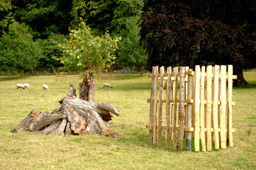 fence in the woods
