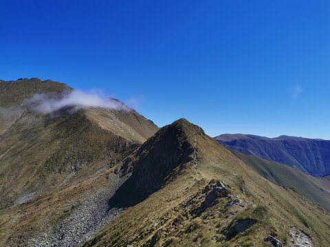 Mountain Treasures