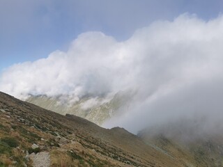 Mountain treasures