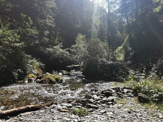 Mountain treasures